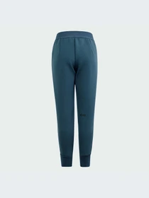 Брюки Adidas ZNE модель IM8397-KZ Фото