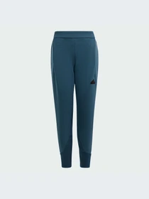 Брюки Adidas ZNE модель IM8397-KZ Фото