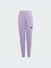 Брюки Adidas ZNE модель IS3395-KZ Фото