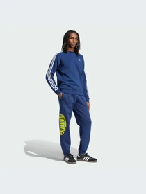 Брюки Adidas Graphics модель IS0196-KZ Фото