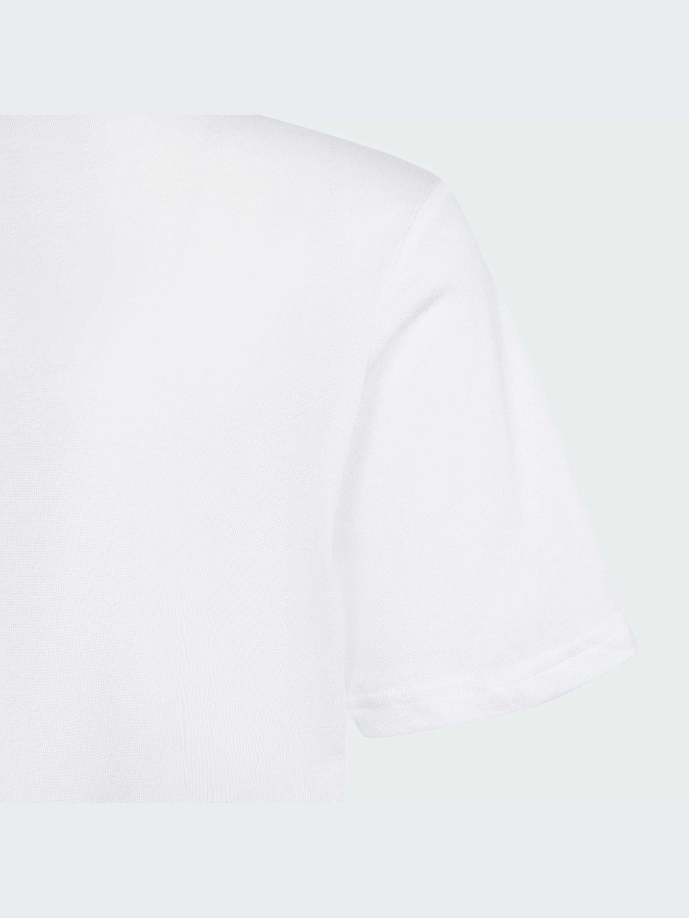 Футболки и поло Adidas Graphics модель IT7278-KZ Футболки и поло Adidas Graphics модель IT7278-KZ Фото