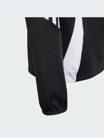 Худи и свитшоты Adidas Tiro модель IJ9952-KZ Фото