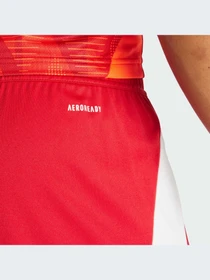 Шорты Adidas Tiro модель IR9379-KZ Фото