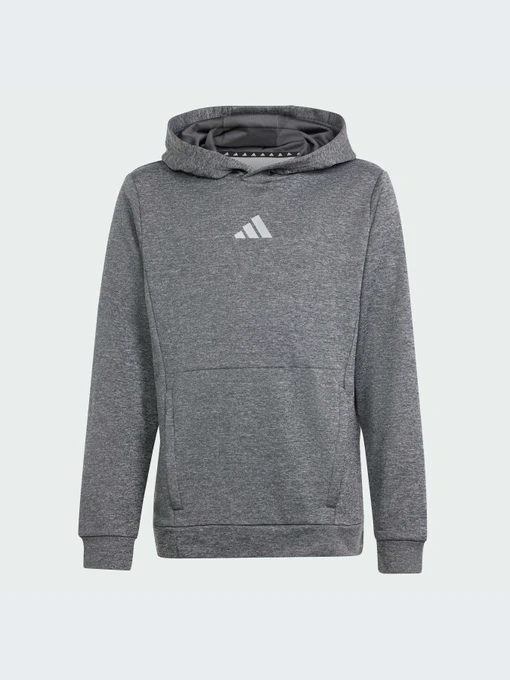 Худи и свитшоты Adidas модель IS1674-KZ Фото