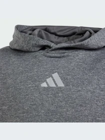 Худи и свитшоты Adidas модель IS1674-KZ Фото