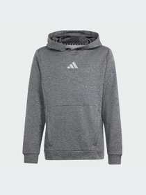 Худи и свитшоты Adidas модель IS1674-KZ Фото