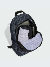Рюкзаки Adidas Graphics модель IU0009-KZ Фото