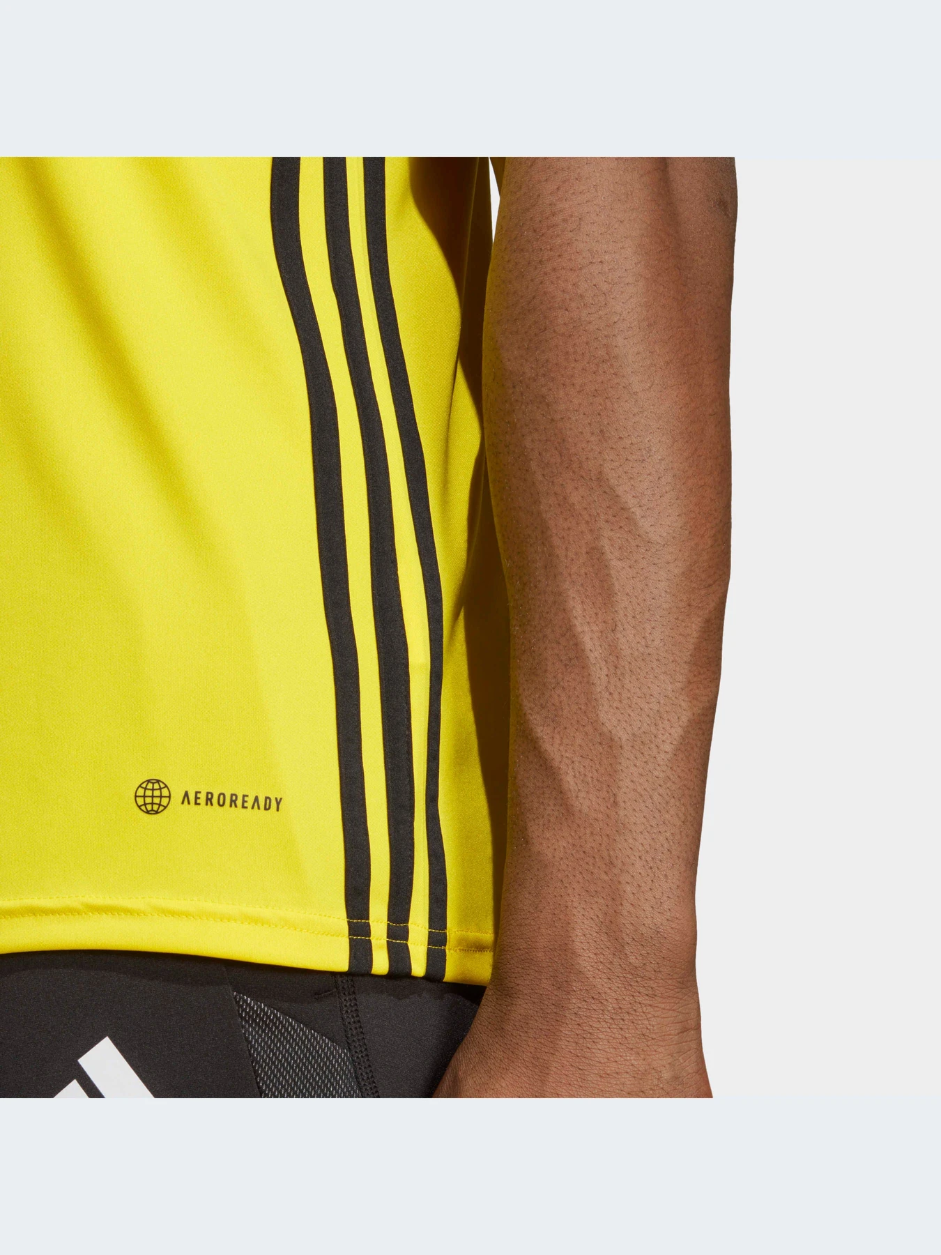 Футболки и поло Adidas модель IA9146-KZ Футболки и поло Adidas модель IA9146-KZ Фото