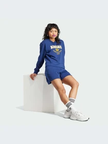 Худи и свитшоты Adidas модель IL2414-KZ Фото