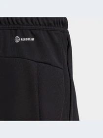 Шорты Adidas модель IB8161-KZ Фото