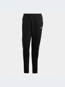 Брюки Adidas модель HR6611-KZ Фото