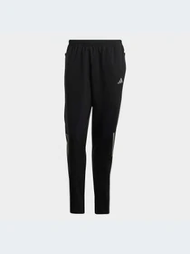 Брюки Adidas модель HR6611-KZ Фото