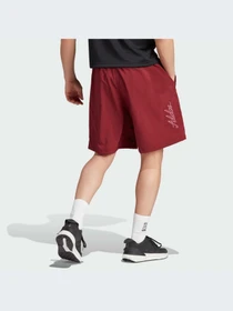Шорты Adidas модель HY1282-KZ Фото