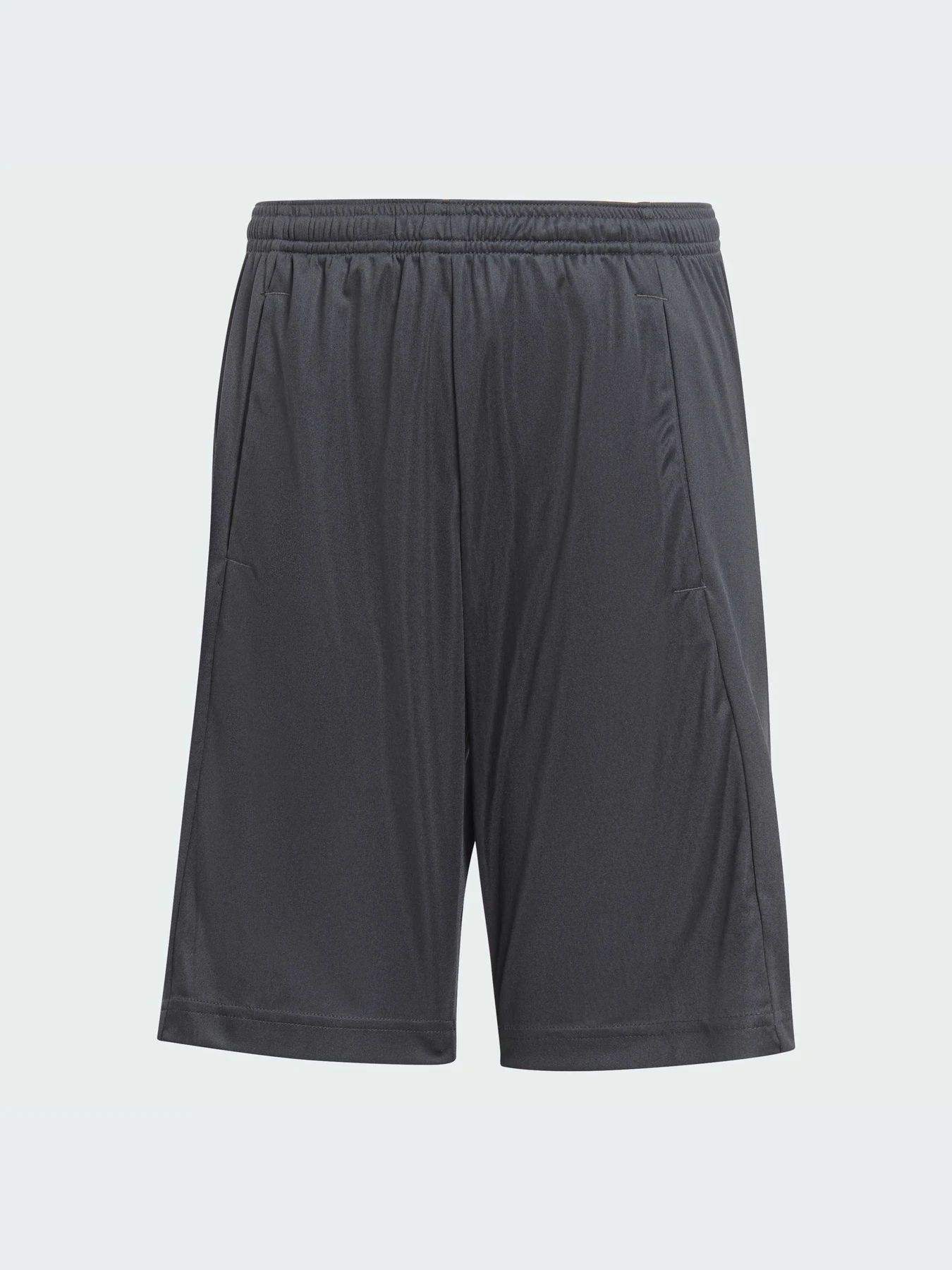 Шорты Adidas Clima модель IA3019-KZ Шорты Adidas Clima модель IA3019-KZ Фото