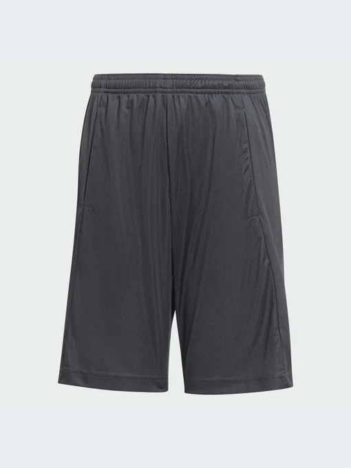 Шорты Adidas Clima модель IA3019-KZ Фото