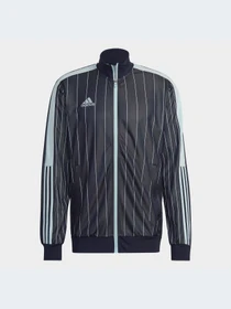 Худи и свитшоты Adidas Tiro модель HC1307-KZ Фото