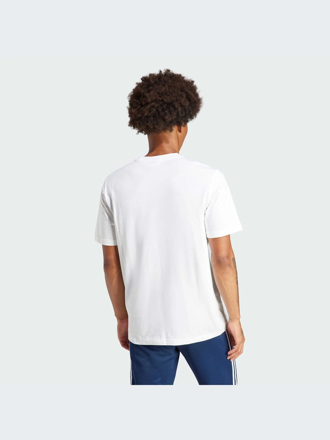 Футболки и поло Adidas Adicolor модель IV5353-KZ Футболки и поло Adidas Adicolor модель IV5353-KZ Фото
