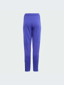 Брюки Adidas Tiro модель IQ0541-KZ Фото