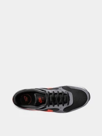 Кроссовки NIKE модель CW4555-015 Фото
