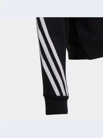 Худи и свитшоты Adidas Icons модель IC0118-KZ Фото