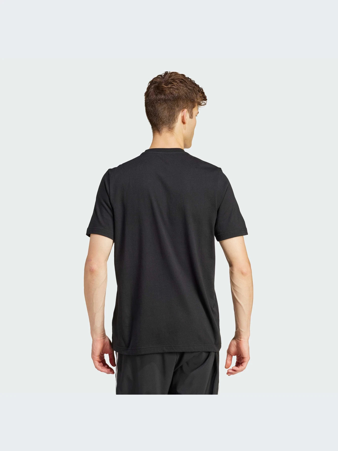 Футболки и поло Adidas Graphics модель IS2863-KZ Футболки и поло Adidas Graphics модель IS2863-KZ Фото
