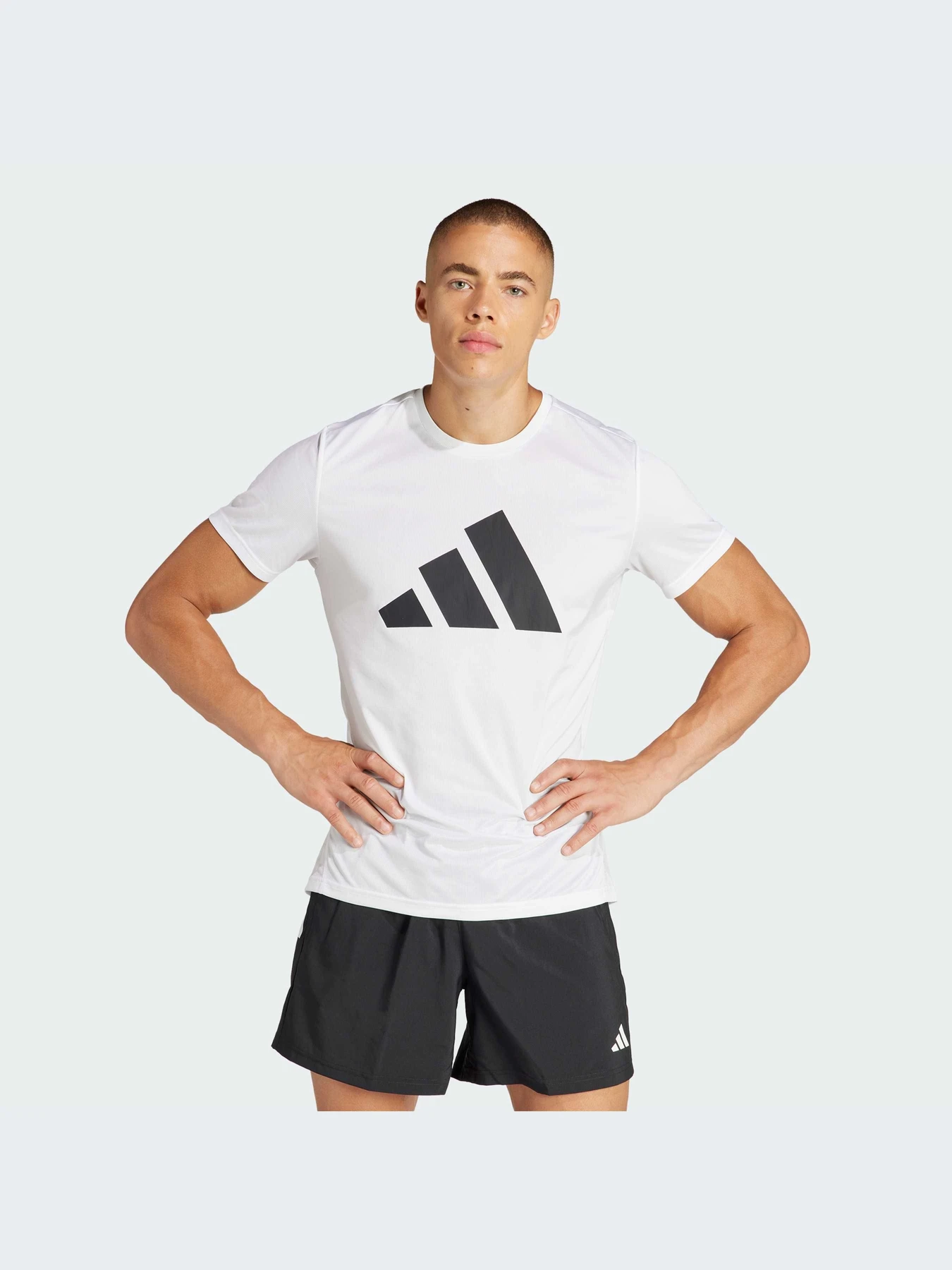 Футболки и поло Adidas модель IN0075-KZ Футболки и поло Adidas модель IN0075-KZ Фото
