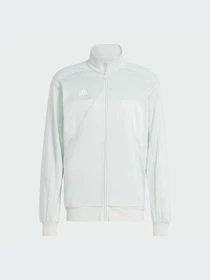 Худи и свитшоты Adidas Tiro модель IM2934-KZ Фото