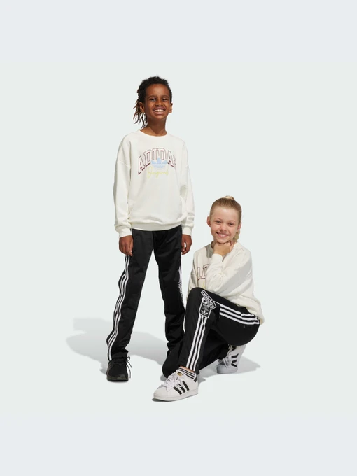 Брюки Adidas Adicolor модель IM3903-KZ Фото