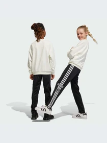 Брюки Adidas Adicolor модель IM3903-KZ Фото