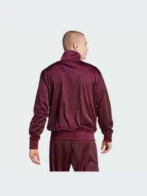 Худи и свитшоты Adidas Adicolor модель IN4683-KZ Фото