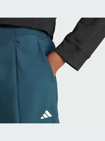 Брюки Adidas Clima модель IJ5925-KZ Фото