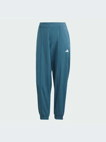 Брюки Adidas Clima модель IJ5925-KZ Фото