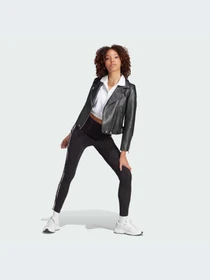 Брюки Adidas Graphics модель IJ7782-KZ Фото
