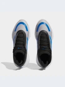 Кроссовки Adidas модель IE9280-KZ Фото