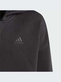 Худи и свитшоты Adidas модель IL4929-KZ Фото