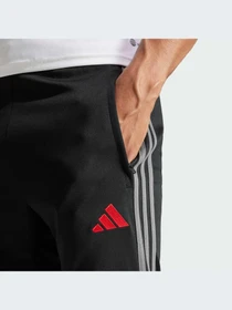 Брюки Adidas Tiro модель IN8186-KZ Фото