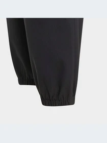 Брюки Adidas модель IL5002-KZ Фото
