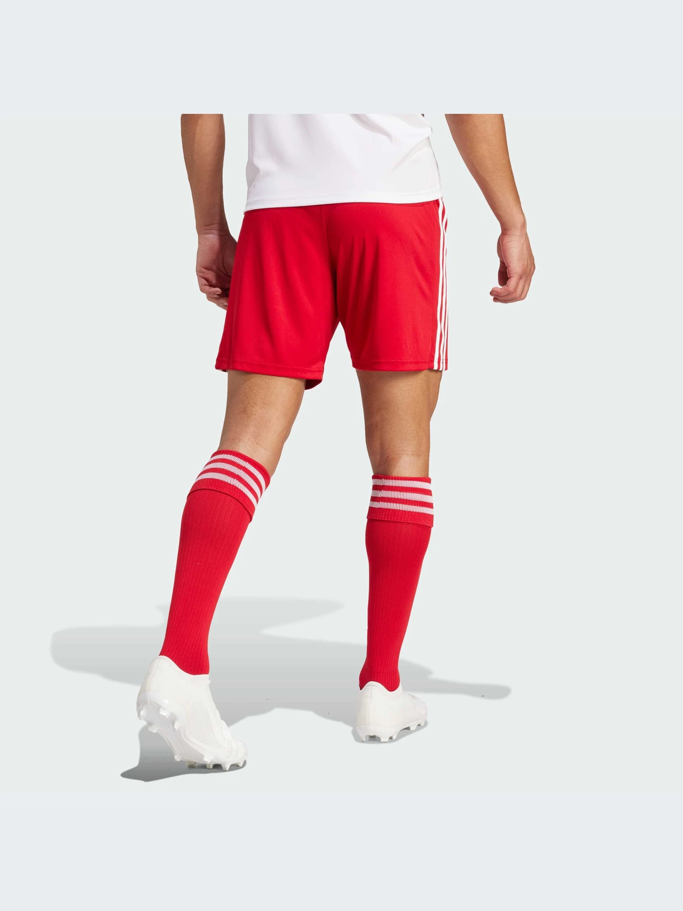 Шорты Adidas модель GN5771-KZ Шорты Adidas модель GN5771-KZ Фото