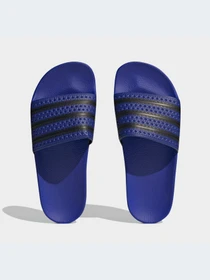 Шлёпанцы Adidas Adilette модель HQ4429-KZ Фото