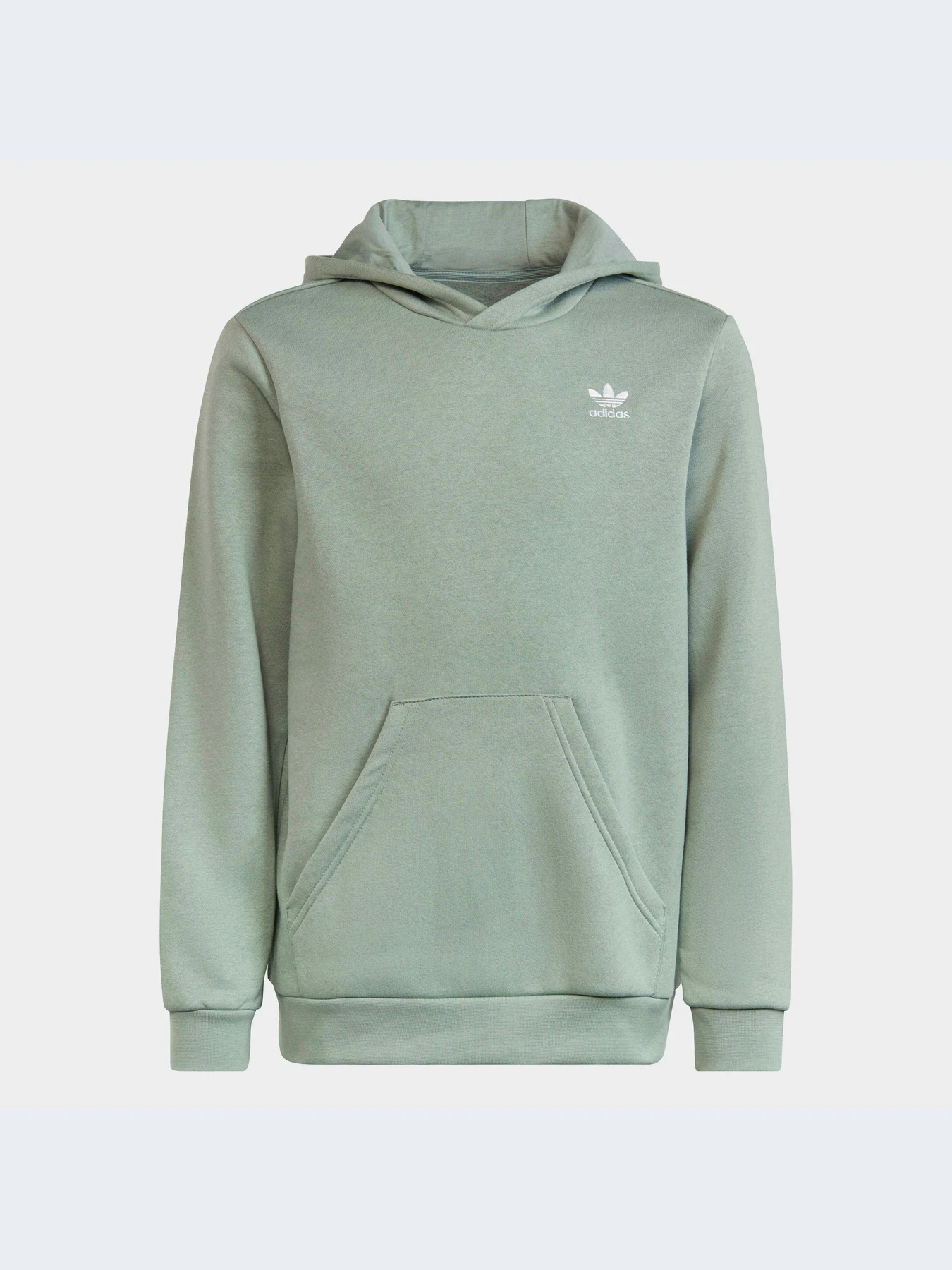 Худи и свитшоты Adidas модель IC3147-KZ Худи и свитшоты Adidas модель IC3147-KZ Фото