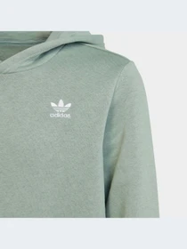 Худи и свитшоты Adidas модель IC3147-KZ Фото