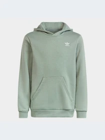 Худи и свитшоты Adidas модель IC3147-KZ Фото