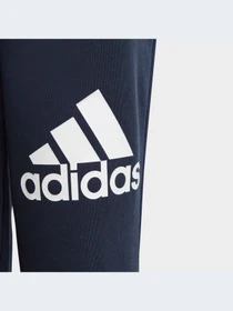 Брюки Adidas модель HR6383-KZ Фото