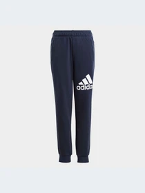 Брюки Adidas модель HR6383-KZ Фото
