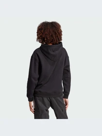Худи и свитшоты Adidas Adicolor модель IK4058-KZ Фото