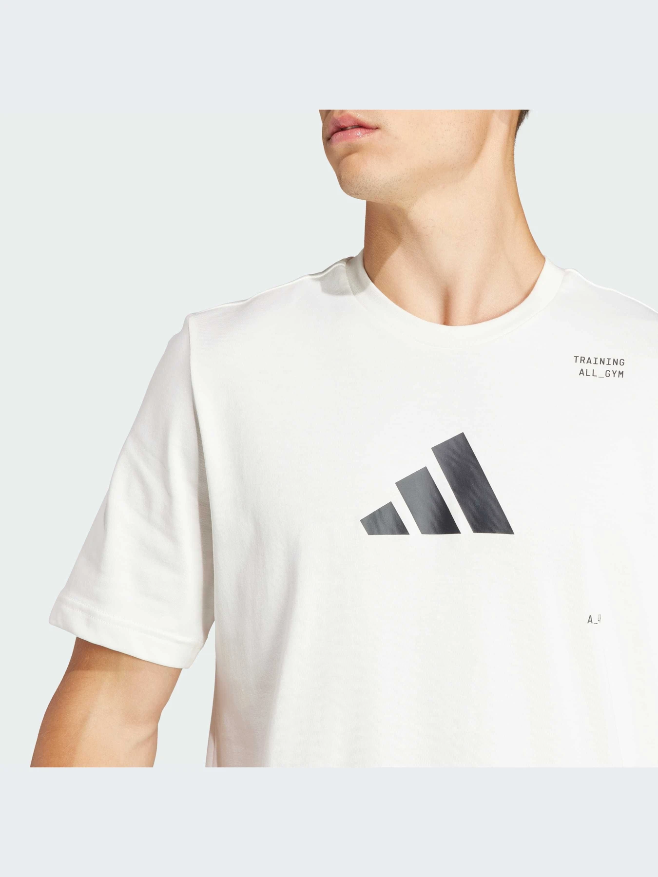 Футболки и поло Adidas модель IS2363-KZ Футболки и поло Adidas модель IS2363-KZ Фото