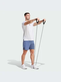 Шорты Adidas модель IS3724-KZ Фото