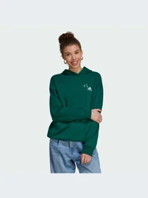 Худи и свитшоты Adidas модель IT8211-KZ Фото
