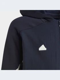 Худи и свитшоты Adidas модель HR6278-KZ Фото