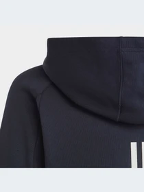 Худи и свитшоты Adidas модель HR6278-KZ Фото